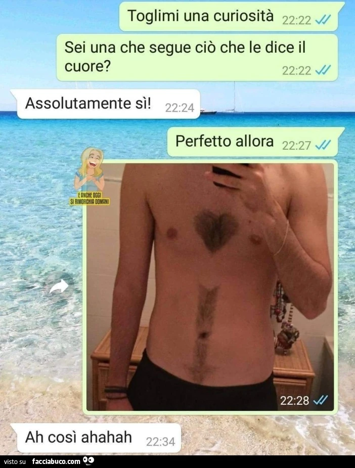Vaccata