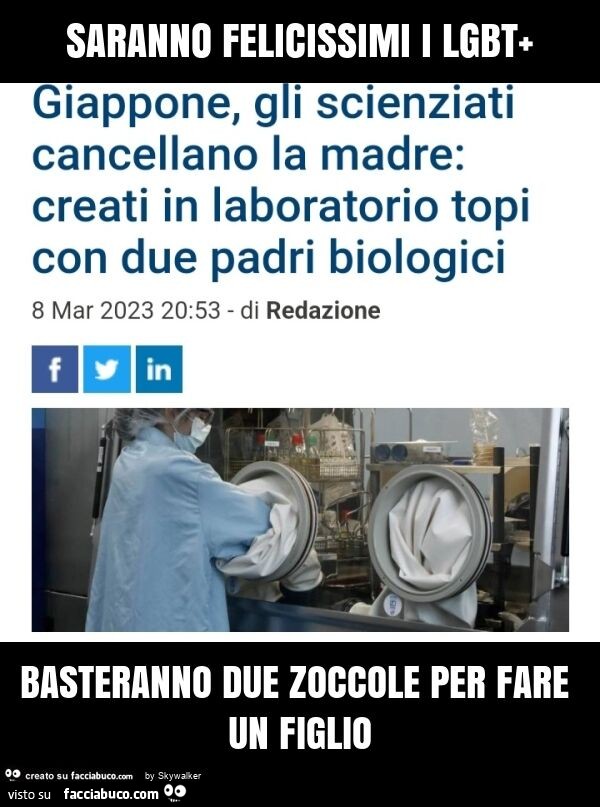 Saranno felicissimi i lgbt+ basteranno due zoccole per fare un figlio