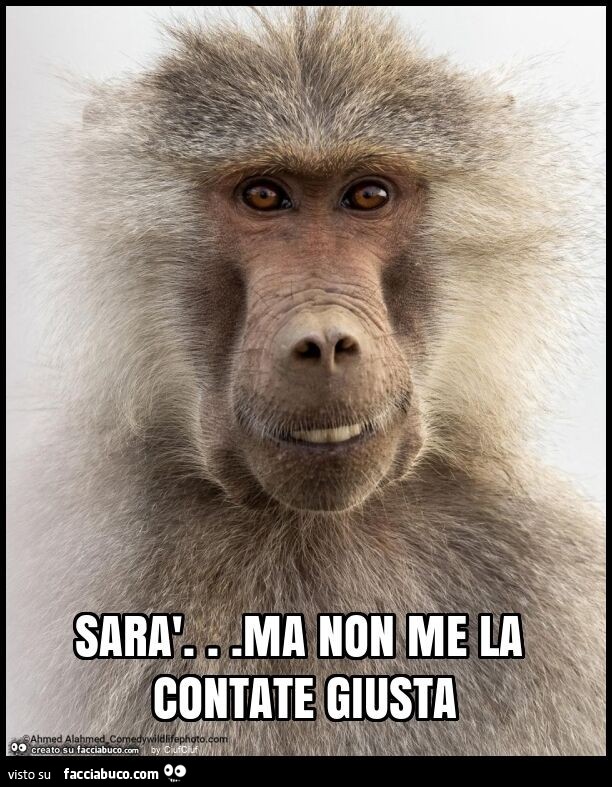 Sarà… ma non me la contate giusta