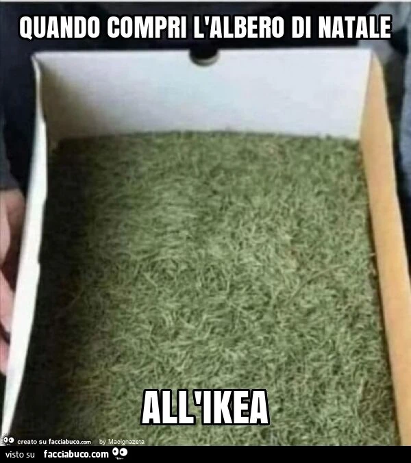 Quando compri l'albero di natale all'ikea