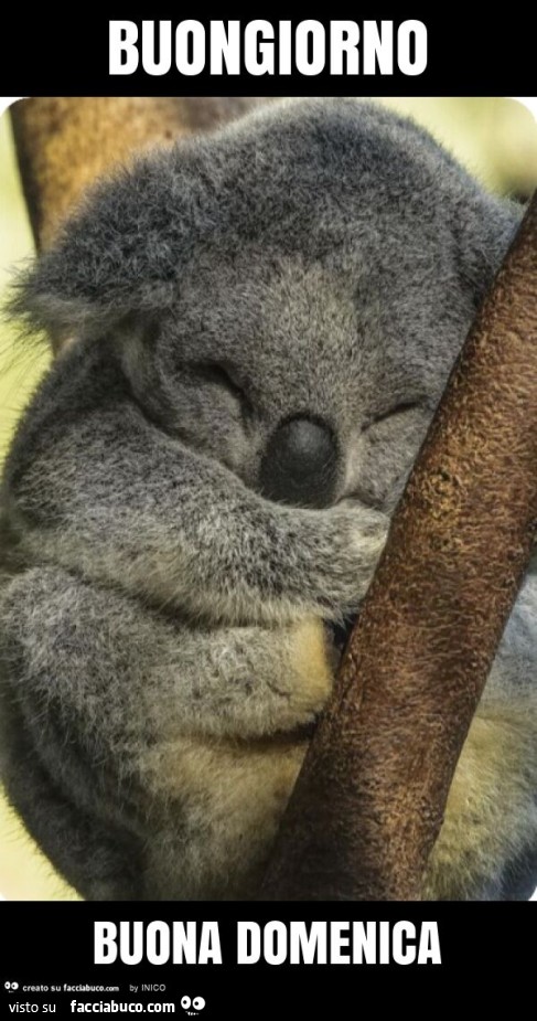 Buongiorno buona domenica