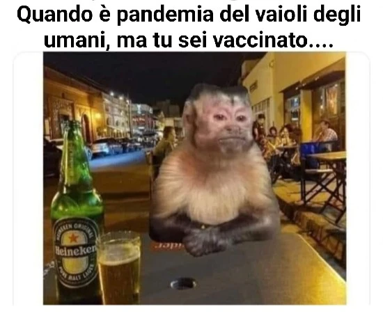 Vaccata