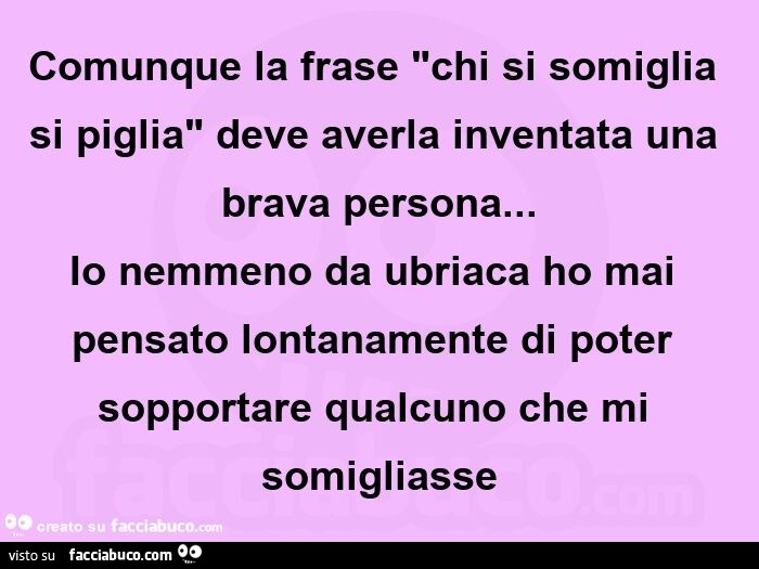 Comunque la frase "chi si somiglia si piglia" deve averla inventata una brava persona… io nemmeno da ubriaca ho mai pensato lontanamente di poter sopportare qualcuno che mi somigliasse
