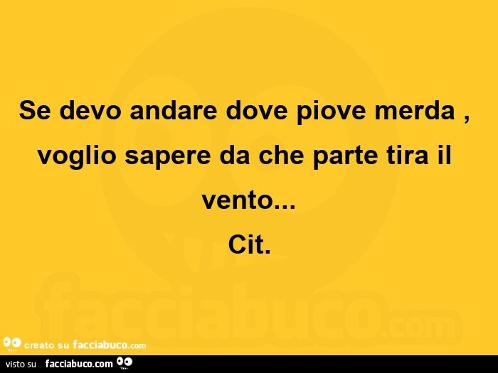 Se devo andare dove piove merda, voglio sapere da che parte tira il vento…   cit