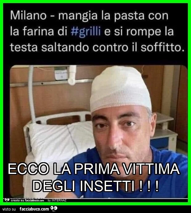 Ecco la prima vittima degli insetti