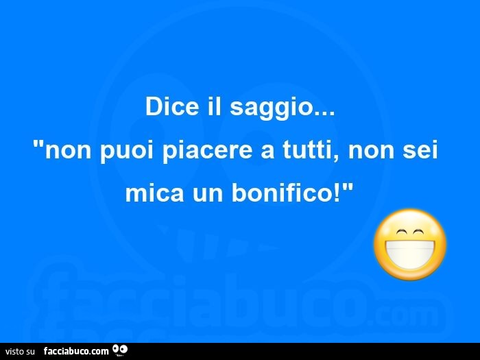 Dice il saggio… non puoi piacere a tutti, non sei mica un bonifico