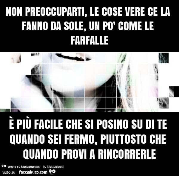 Non preoccuparti, le cose vere ce la fanno da sole, un po' come le farfalle è più facile che si posino su di te quando sei fermo, piuttosto che quando provi a rincorrerle