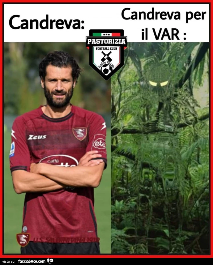 Vaccata