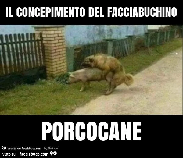 Il concepimento del facciabuchino porcocane