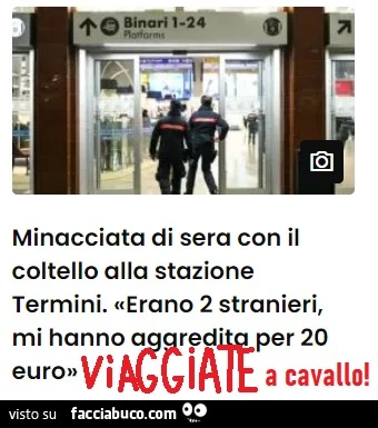 Vaccata