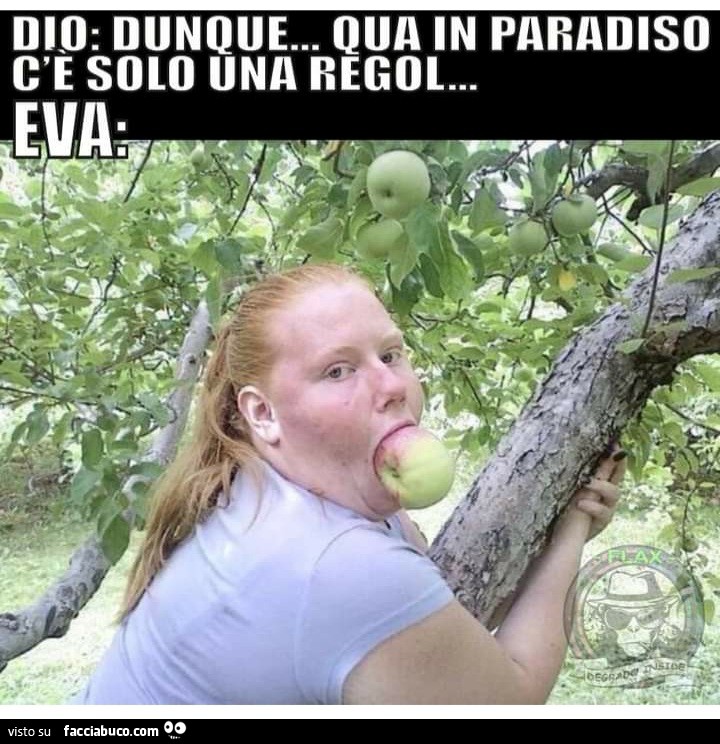 Dio dunque qua in paradiso c'è solo una regola eva