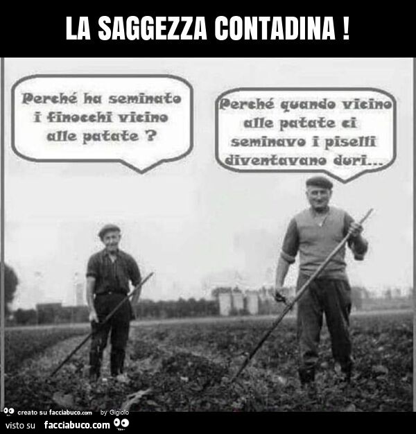 La saggezza contadina