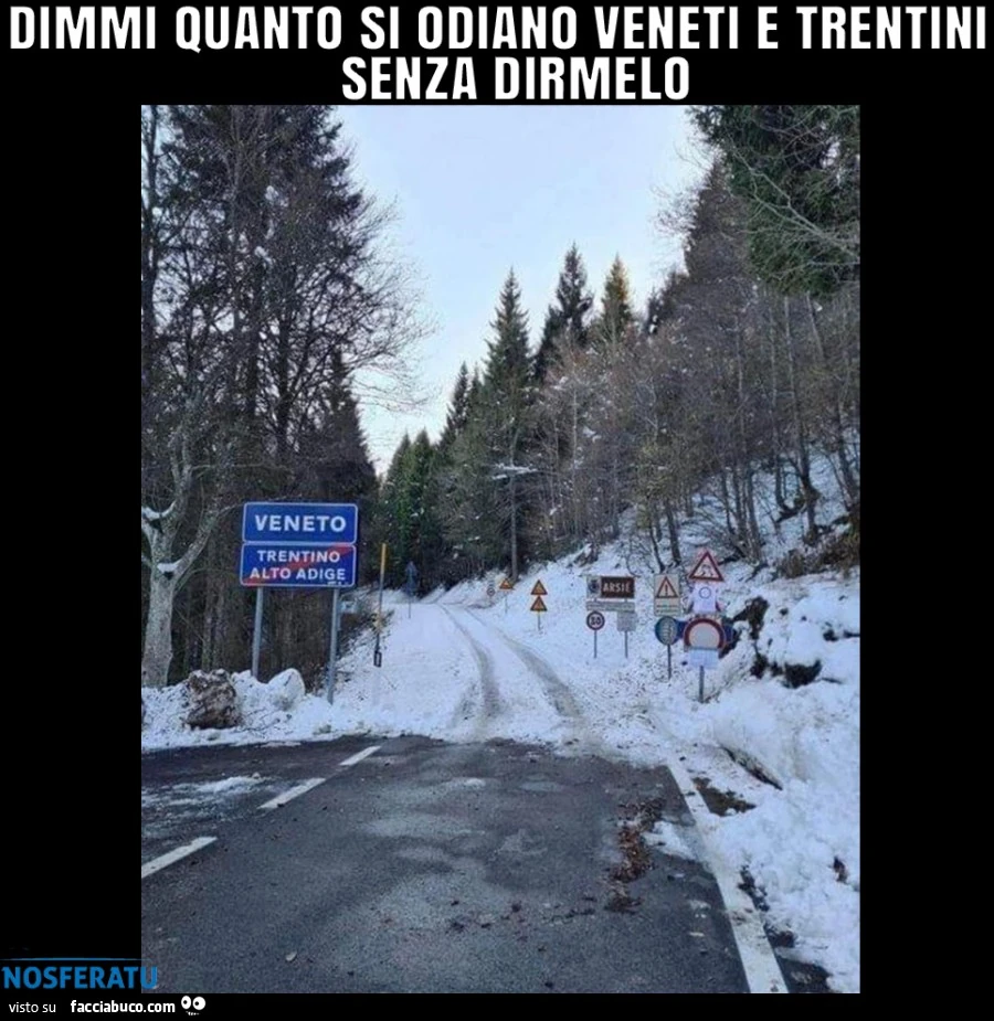 Dimmi quanto si odiano veneti e trentini senza dirmi quanto si odiano