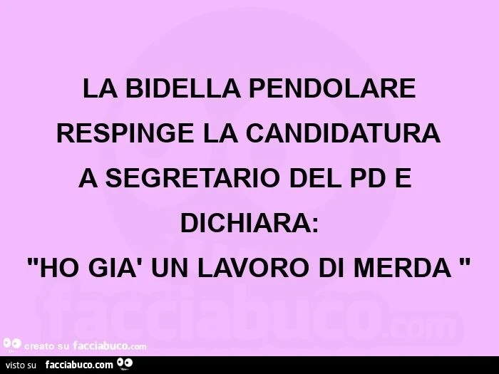 La bidella pendolare respinge la candidatura a segretario del pd e dichiara: "ho già un lavoro di merda "