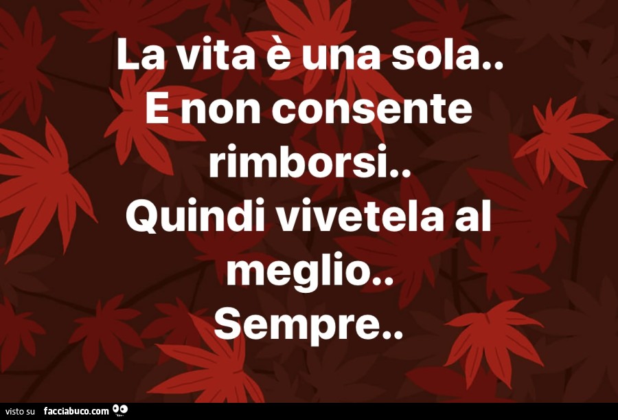 Frasi La Vita è Una Sola