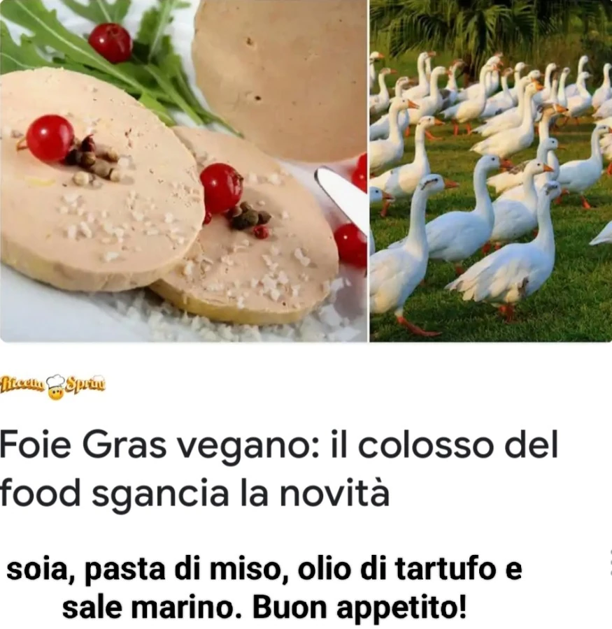Foie gras