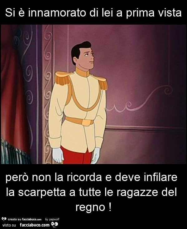 Si è innamorato di lei a prima vista però non la ricorda e deve infilare la scarpetta a tutte le ragazze del regno