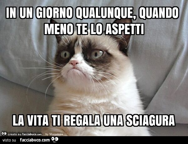 In un giorno qualunque, quando meno te lo aspetti la vita ti regala una sciagura