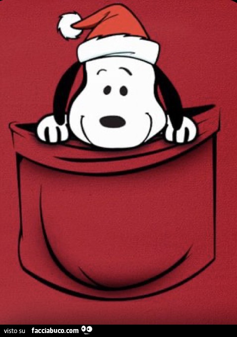 Snoopy in una tasca