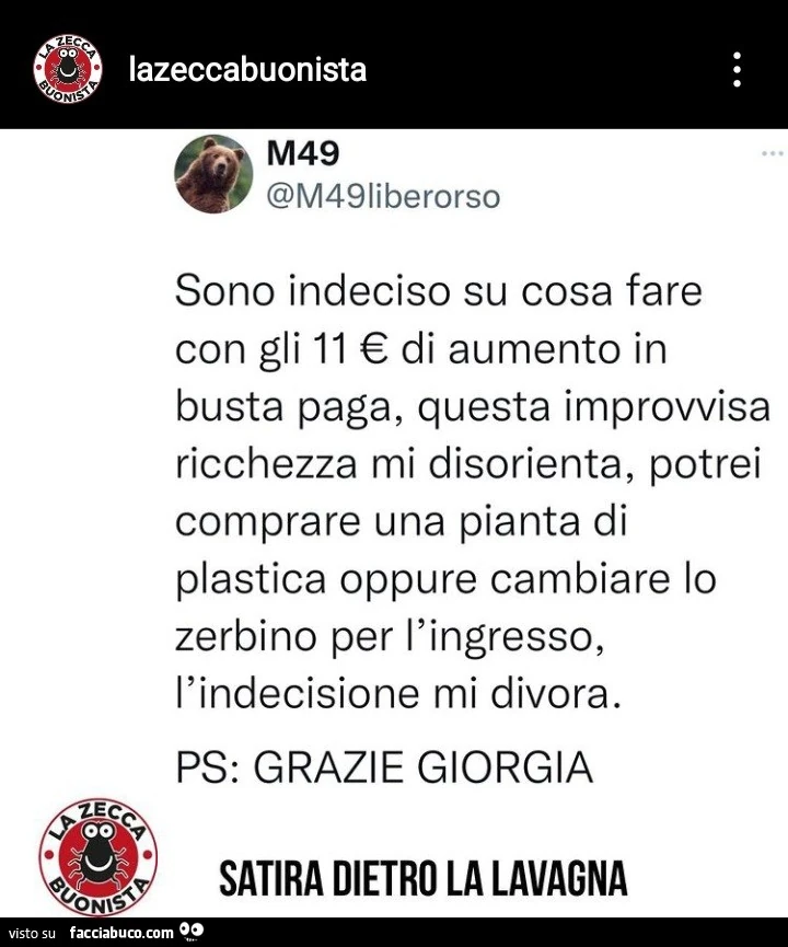 Sono indeciso su cosa fare con gli 11 € di aumento in busta paga, questa improvvisa ricchezza mi disorienta
