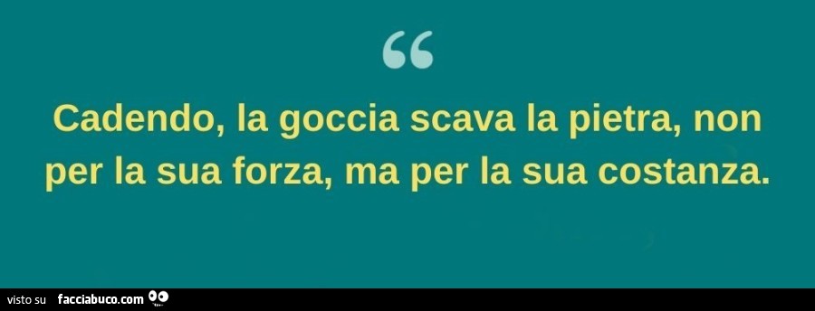 Cadendo, la goccia scava la pietra, non per la sua forza, ma per la sua costanza