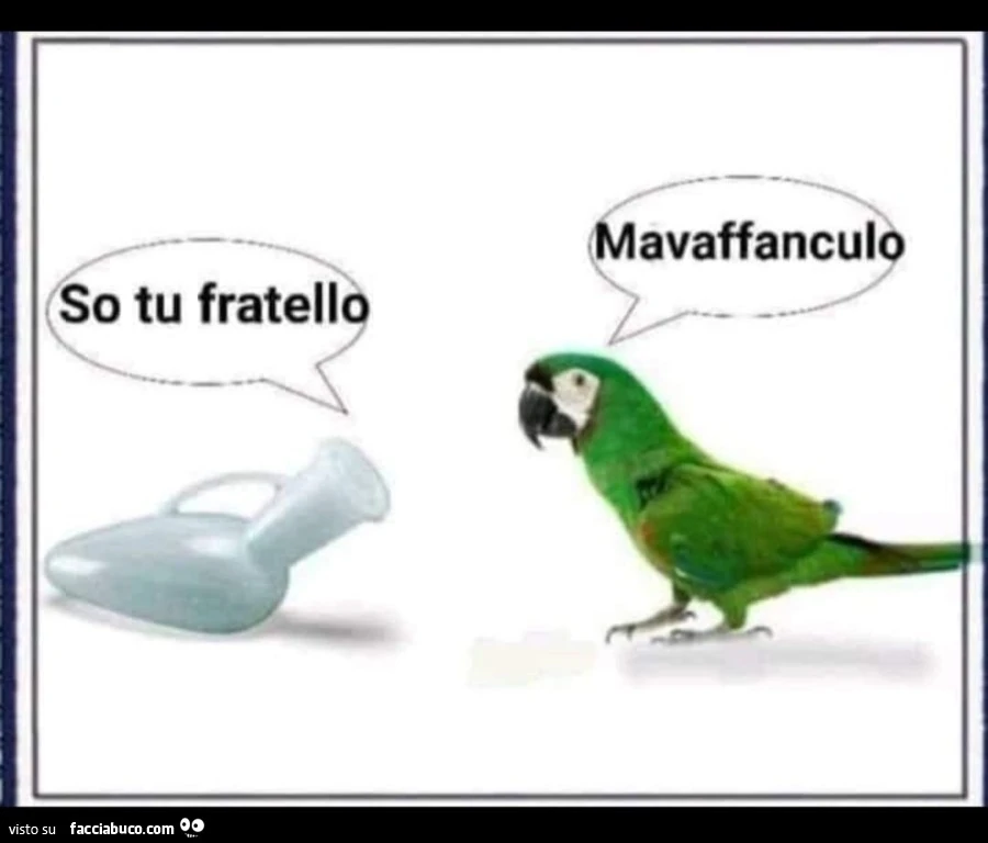 So tu fratello. Mavaffanculo