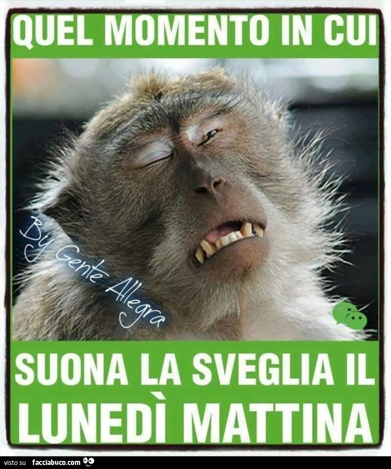 Buongiorno