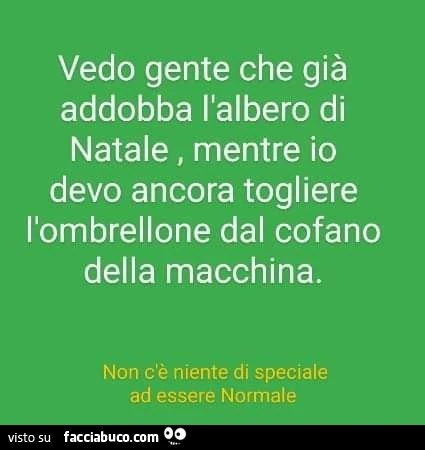 Vedo gente che già addobba l'albero di natale, mentre io devo ancora togliere l'ombrellone dal cofano della macchina
