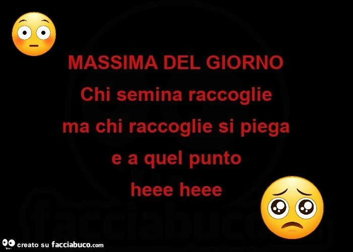 Massima del giorno chi semina raccoglie ma chi raccoglie si piega e a quel punto heee heee