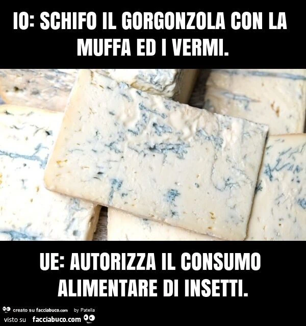 Vermi nel cibo