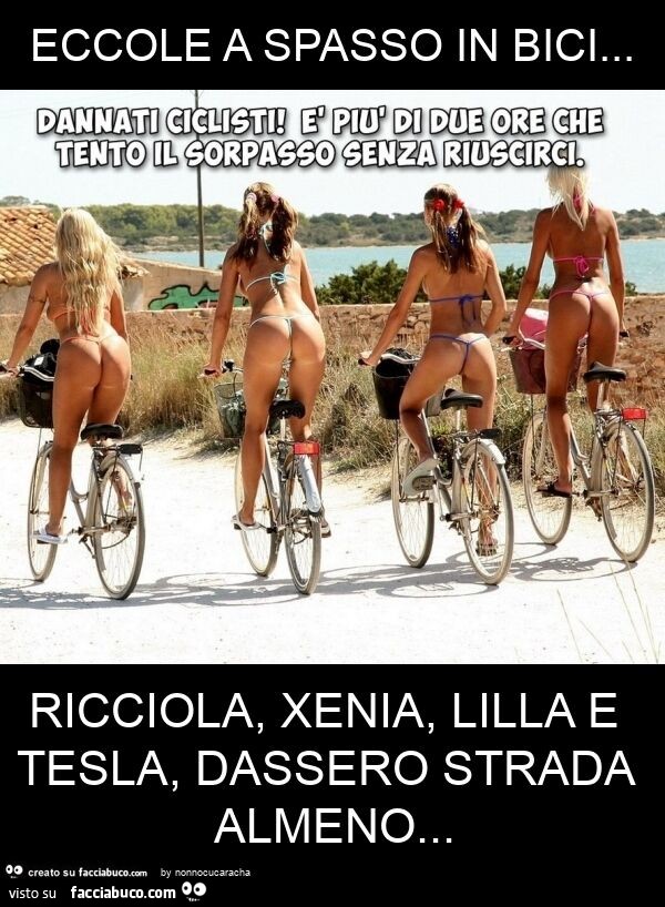 Eccole a spasso in bici… ricciola, xenia, lilla e tesla, dassero strada almeno