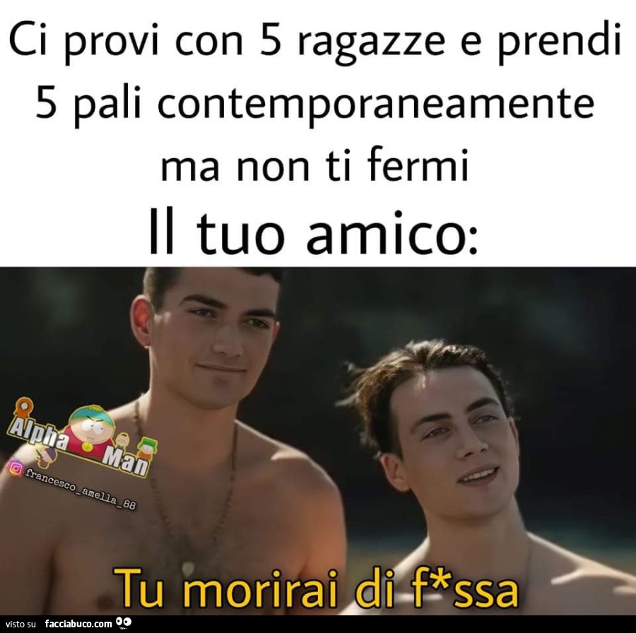 Vaccata