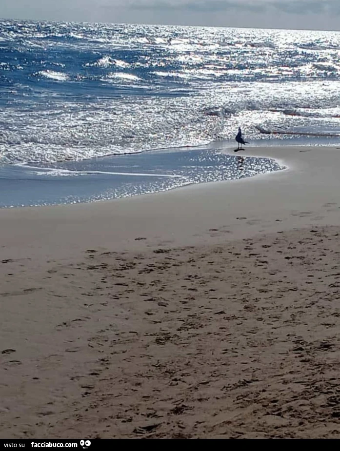 Sorgere il sole
