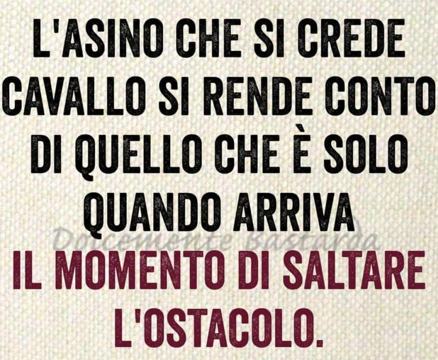 Frasi Su Chi Si Sente Superiore Agli Altri Perla di saggezza pubblicata da Xenaprincipessaguerriera - Facciabuco.com