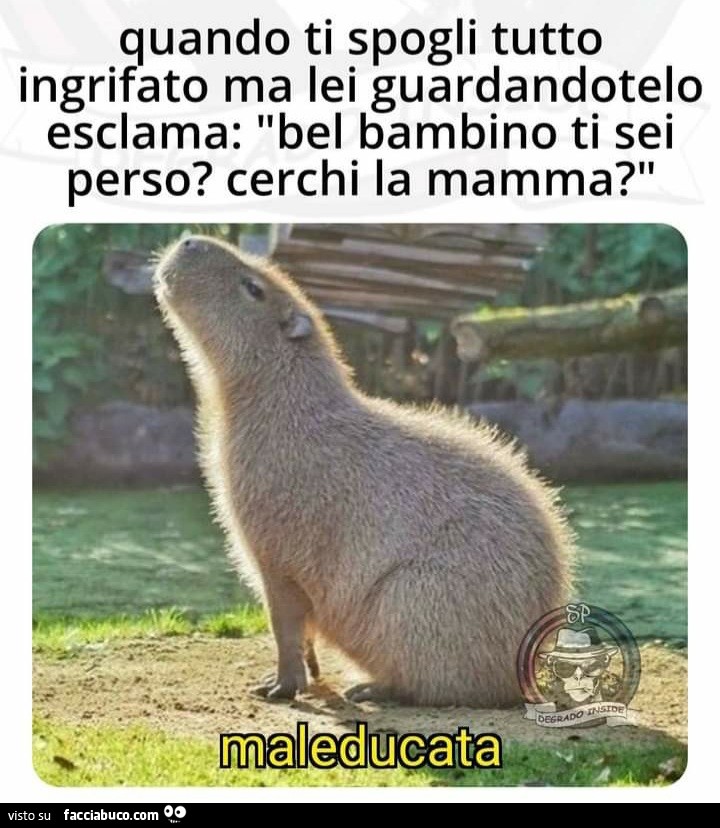 Quando ti spogli tutto ingrifato ma lei guardandoti