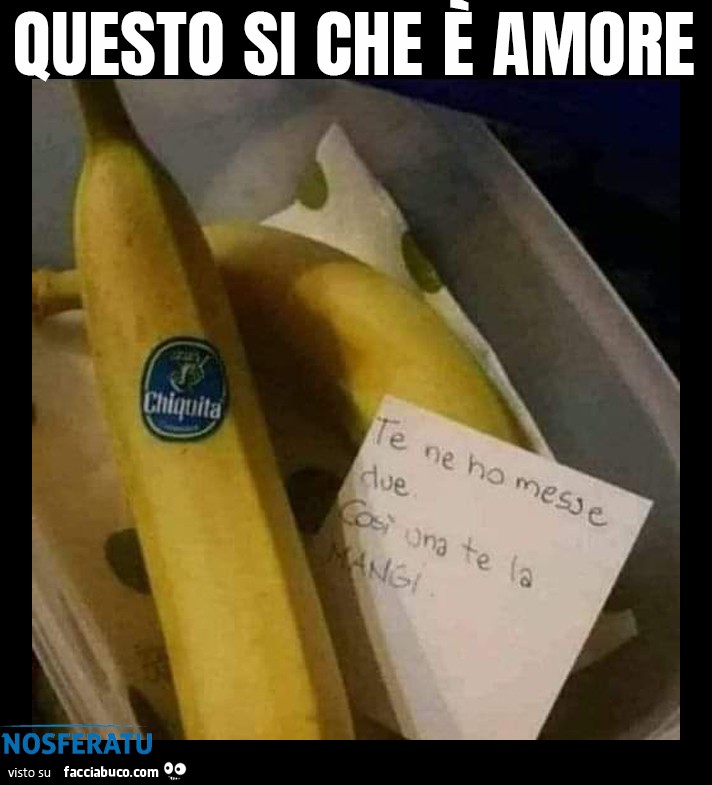 Questo si che è amore