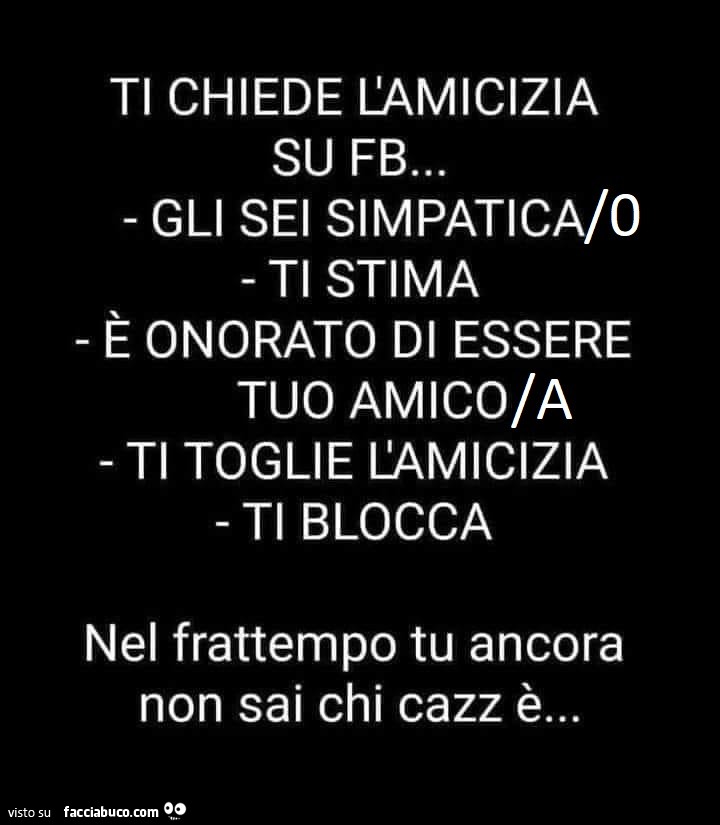 Ti chiede l'amicizia su fb… gli sei simpatica/o ti stima è onorato di essere tuo amico/a ti toglie camicizia ti blocca nel frattempo tu ancora non sai chi cazz è