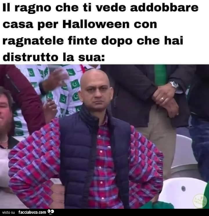 Ragni che si arrabbiano