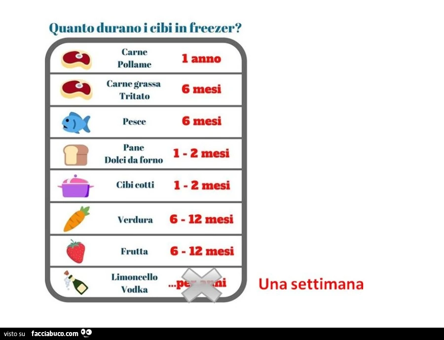 Quanto durano i cibi in freezer?