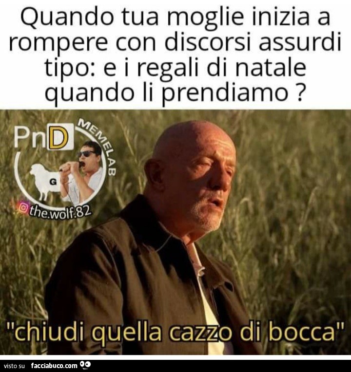 Quando tua moglie inizia a rompere con discorsi assurdi tipo e i regali di natale