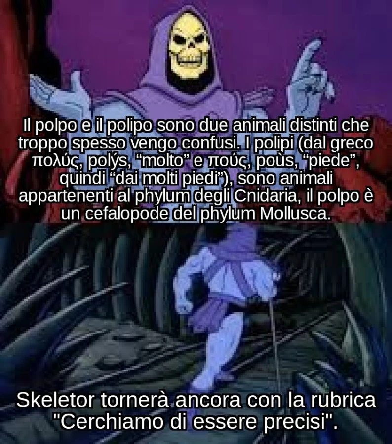 Differenza tra polpi e polipi