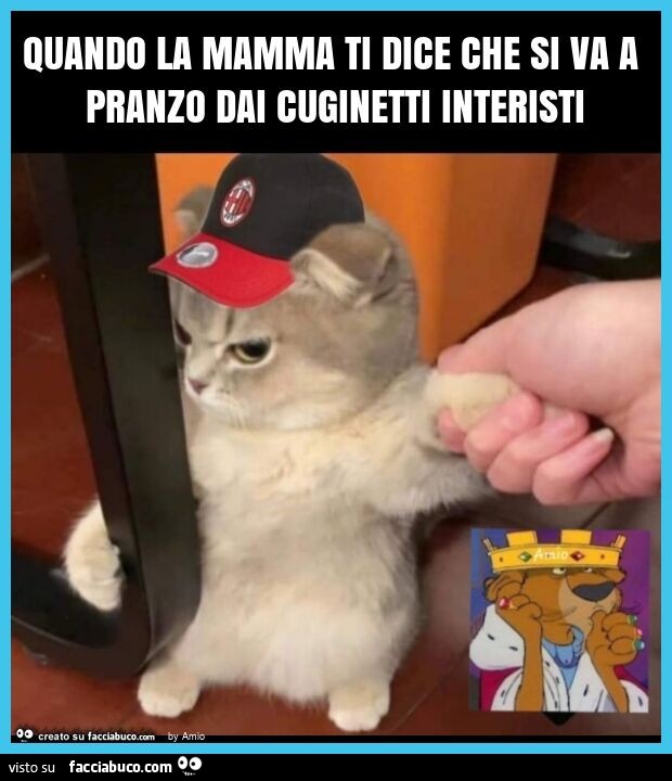 Quando la mamma ti dice che si va a pranzo dai cuginetti interisti