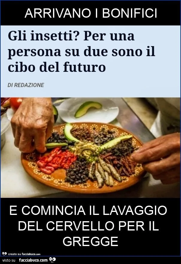 SUDDITI INSETTIVORI