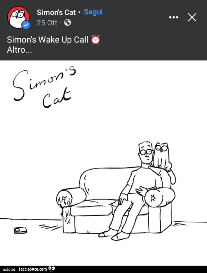 Simon's Cat