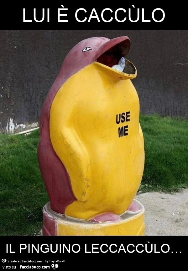 Lui è caccùlo il pinguino leccaccùlo…