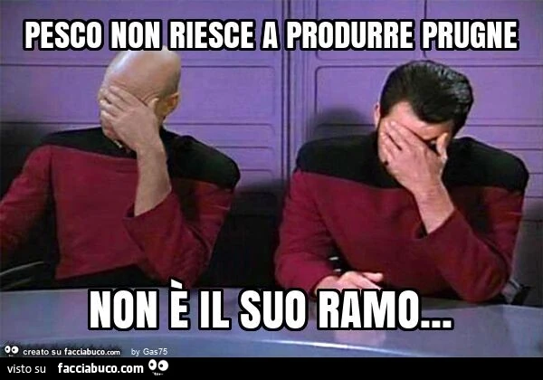 Pesco non riesce a produrre prugne non è il suo ramo