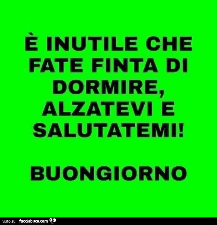 È inutile che fate finta di dormire, alzatevi e salutatemi! Buongiorno