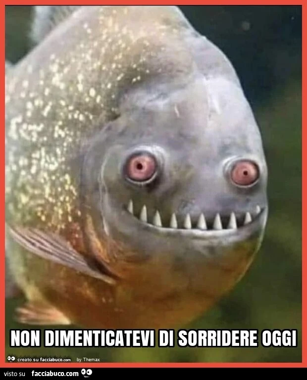 Non dimenticatevi di sorridere oggi