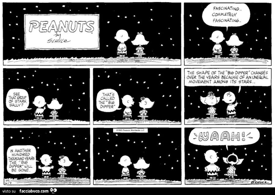 Sally Brown. Orsa Maggiore. Waah