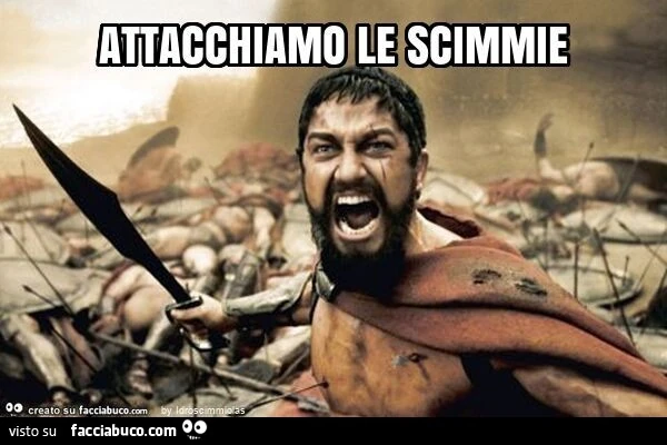 Attacchiamo le scimmie